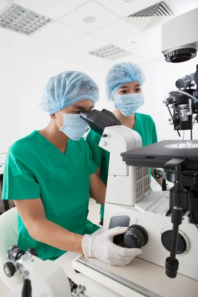 Collega's aan te passen Microscoop — Stockfoto