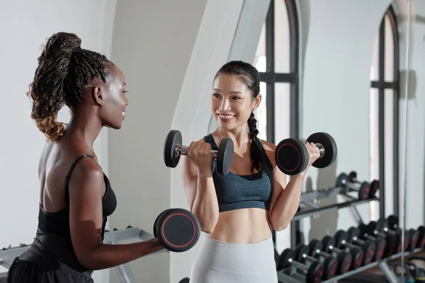 Kadın Arkadaşlar Aptallarla Egzersiz Yapıyor — Stok fotoğraf
