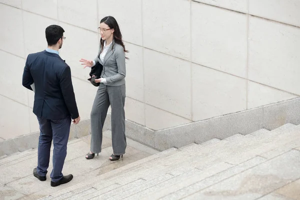 Empresaria discutiendo proyecto con su colega — Foto de Stock