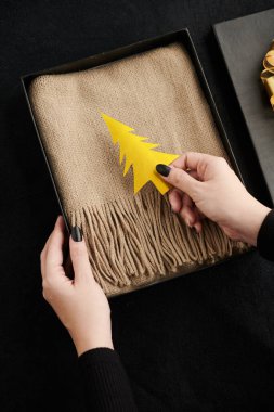 Hediye Kutusuna Noel Ağacı Ekleyen Kadın