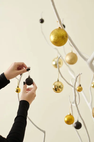 Manicured Hands Woman Hanging Black Gold Baubles White Bare Tree — 图库照片