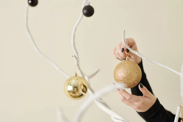 Close Image Woman Hanging Sparkling Golden Bauble Bare Tree Branch — 图库照片