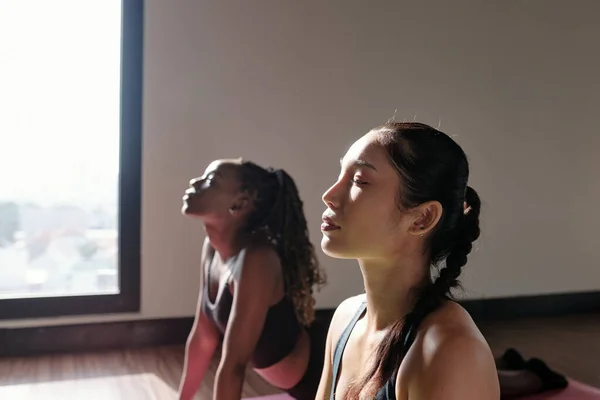 Asana 'yı Yoga Stüdyosunda Çalışan Spor Kadınları — Stok fotoğraf
