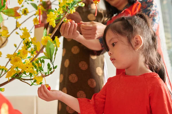 Girl Hanging tet Decorations — Stock Photo, Image