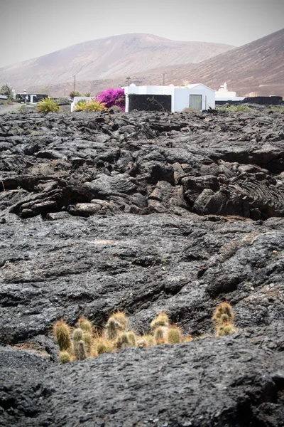 Dorf über dem Vulkan, Kaktus in der Lava im Vordergrund. Panoramablick von den lanzaroten, kanarischen Inseln. — Stockfoto