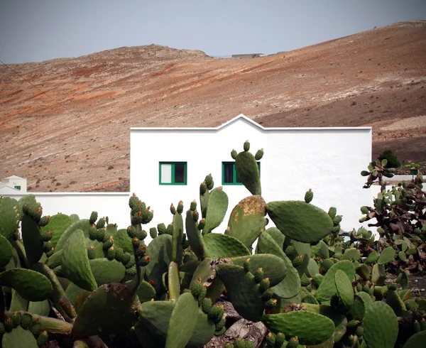 Casa blanca en el desierto — Foto de Stock