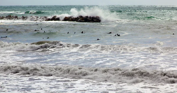 Swimming in sea — Stock Photo, Image