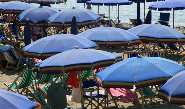 En la playa — Foto de Stock