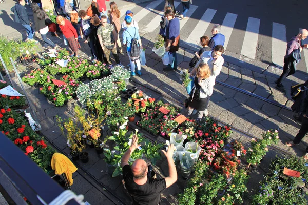 Utställning på den årliga blommor marknaden — Stockfoto