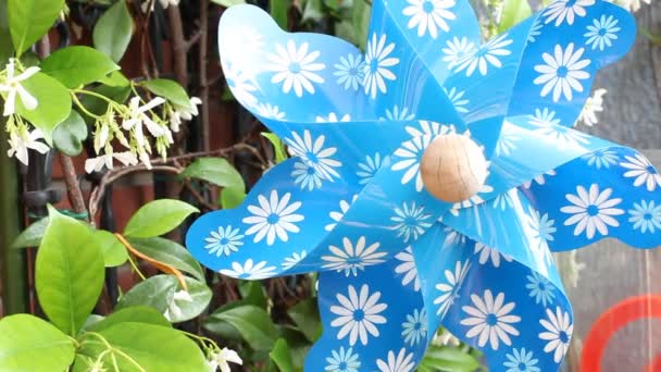 Pinwheel azul — Vídeo de Stock