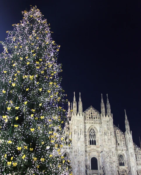 Noel ağacı ışıkları açılışı, milano, İtalya — Stok fotoğraf