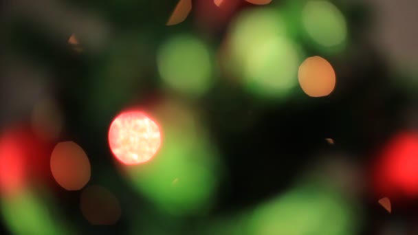 Colored lights effects, Christmas tree background — Stock Video