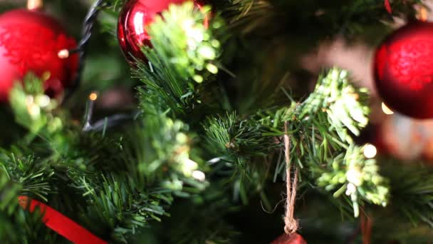 Focus Christmas tree intermittent lights background — Stock Video