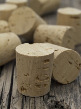 Masanın üzerinde mantarlar