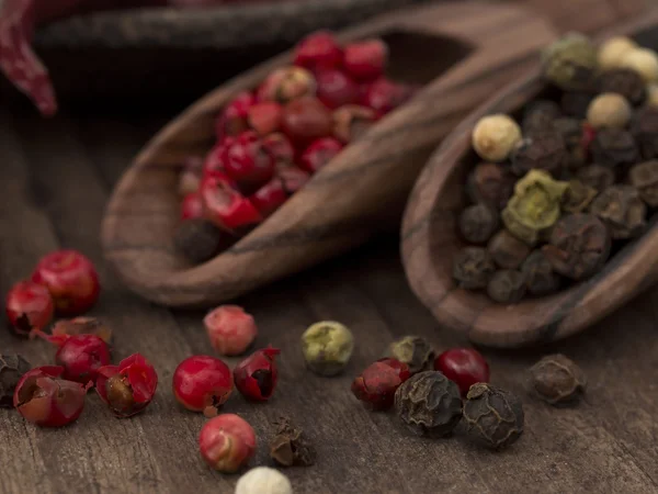 Especiarias de pimenta — Fotografia de Stock