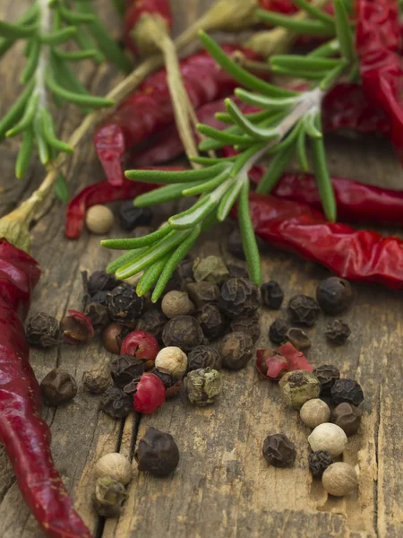 Especia de pimienta con pimientos secos —  Fotos de Stock