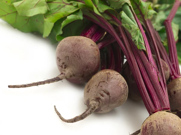 Beetroot — Stock Photo, Image