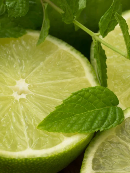 Lime slices Royalty Free Stock Images