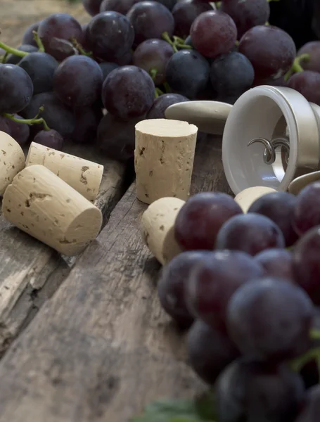 Corks with black grape — Stock Photo, Image
