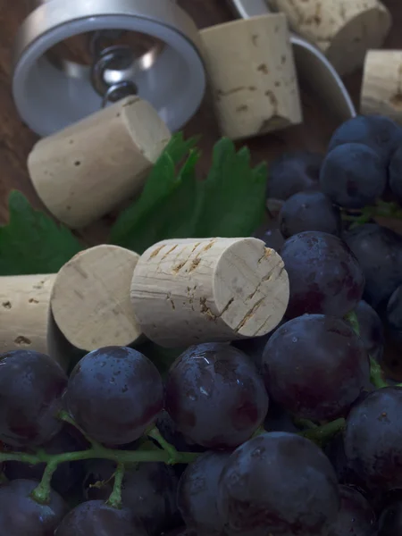 Corks with black grape — Stock Photo, Image