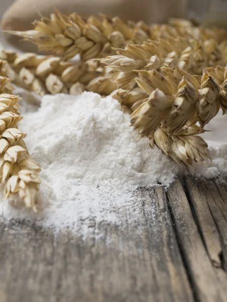 Flour with wheat — Stock Photo, Image