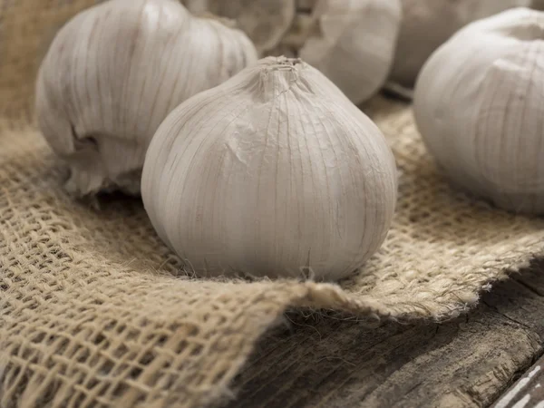 Garlic — Stock Photo, Image