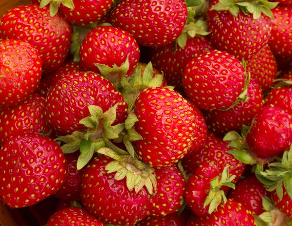 Strawberries — Stock Photo, Image