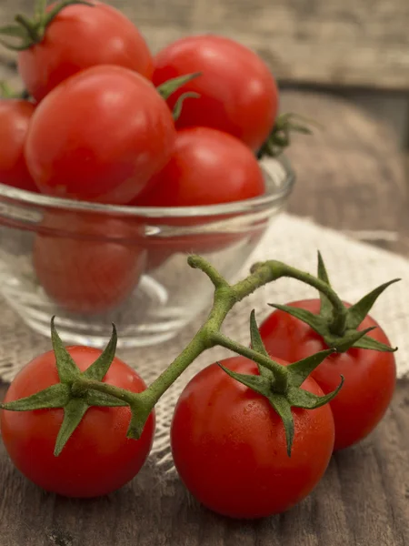 Pomidory koktajlowe — Zdjęcie stockowe