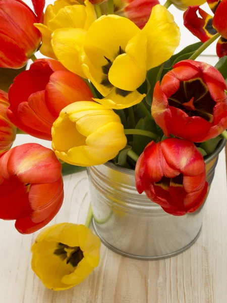 Tulipes rouges et jaunes — Photo