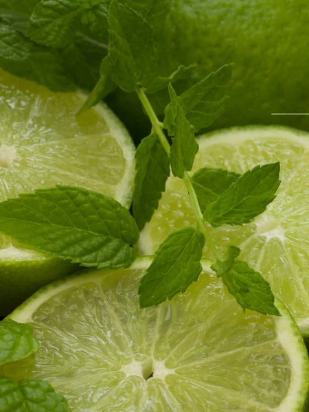 Lime with mint Royalty Free Stock Images