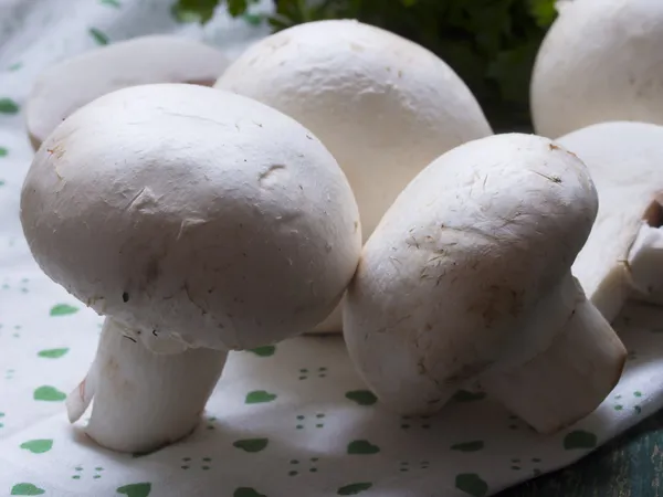 Raw mushrooms — Stock Photo, Image