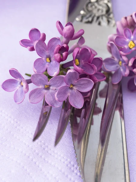 Fork and knife — Stock Photo, Image