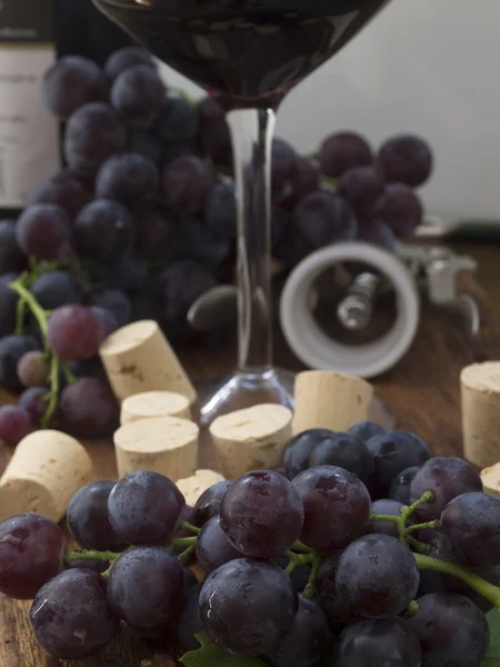 Dark grapes with corks — Stock Photo, Image