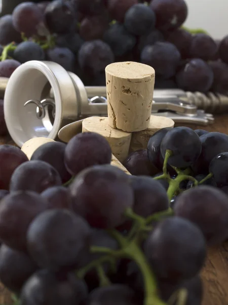 Dark grapes with corks — Stock Photo, Image