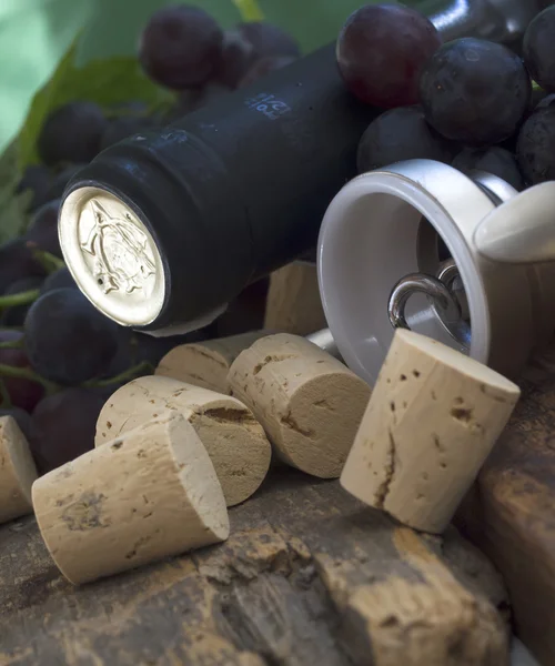 Dark grapes with corks — Stock Photo, Image