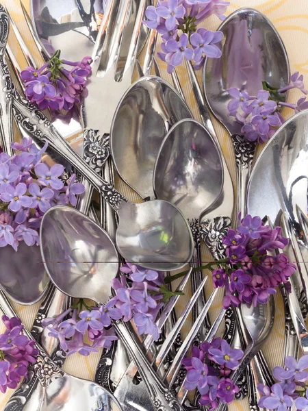 Menu with silverware and fresh, wild violets — Stock Photo, Image