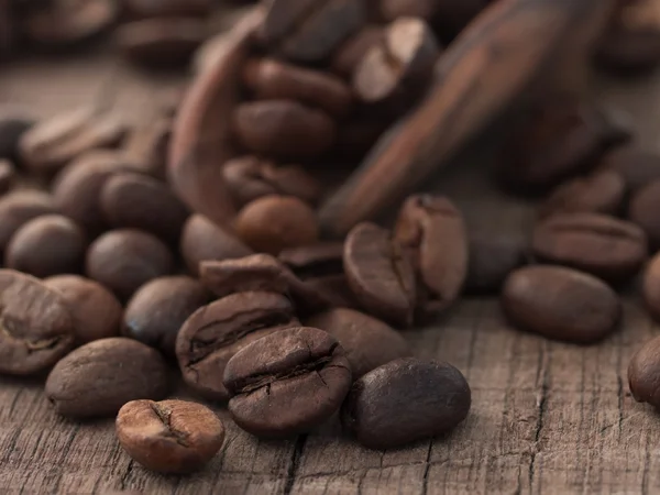 Coffee beans — Stock Photo, Image