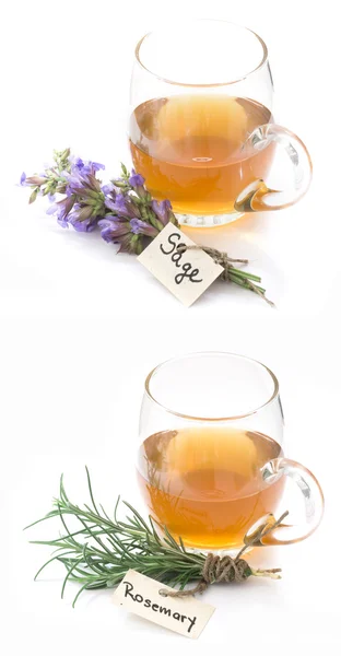 鼠尾草和迷迭香的茶 — 图库照片