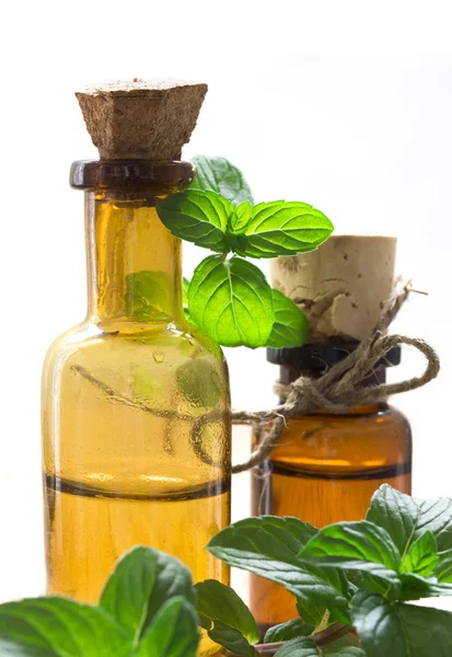 Essential herbal oil — Stock Photo, Image