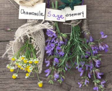 Chamomile, sage and rosemary clipart