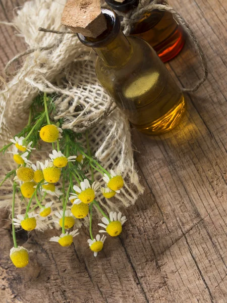 Chamomile herb — Stock Photo, Image