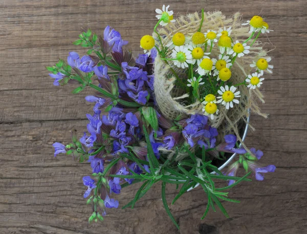 Chamomile, sage and rosemary — Stock Photo, Image