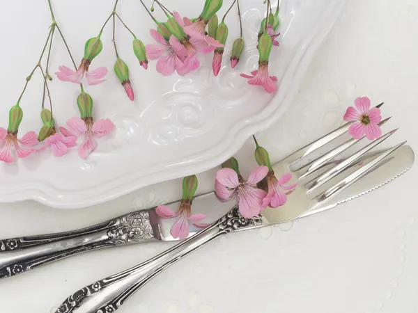 Fork and knife with plate — Stock Photo, Image