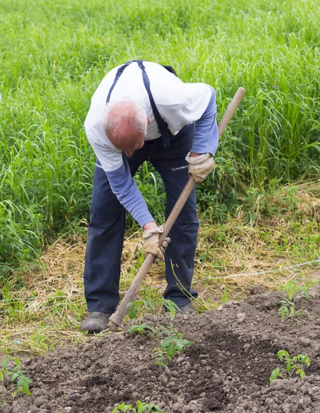 Senior man als een boer — Stockfoto