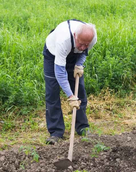 Senior man als een boer — Stockfoto