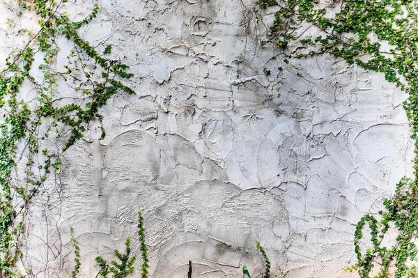 セメントの壁のテクスチャ ラフ ロイヤリティフリーのストック写真
