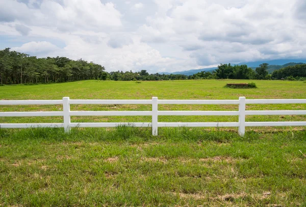 Fence in farm field with cloudy — Stock Photo, Image