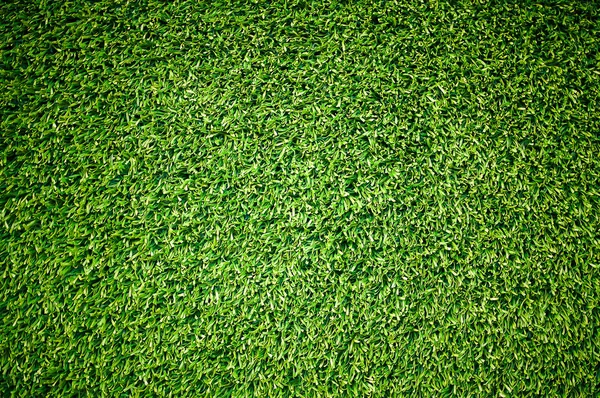 Close up  Green grass texture background — Stock Photo, Image