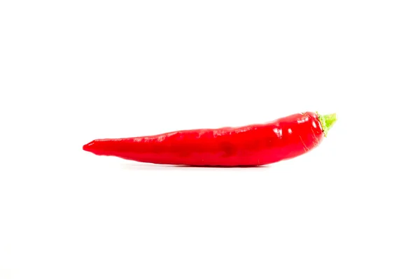 Red hot chili peppar krympa på vit bakgrund — Stockfoto