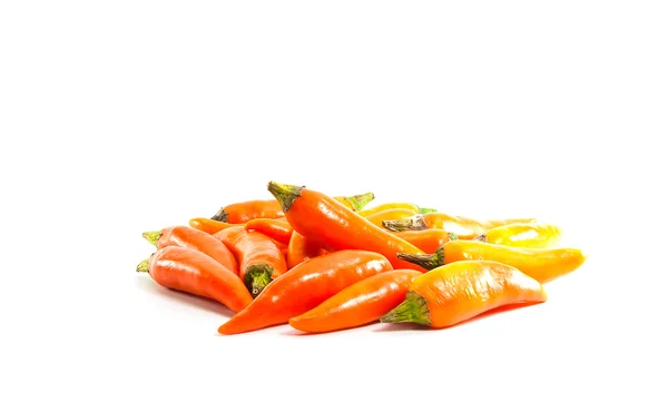 Red hot chili pepper zmenšit na bílém pozadí — Stock fotografie